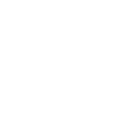 Moonlit Canopy